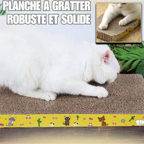 griffoir-chat-solide