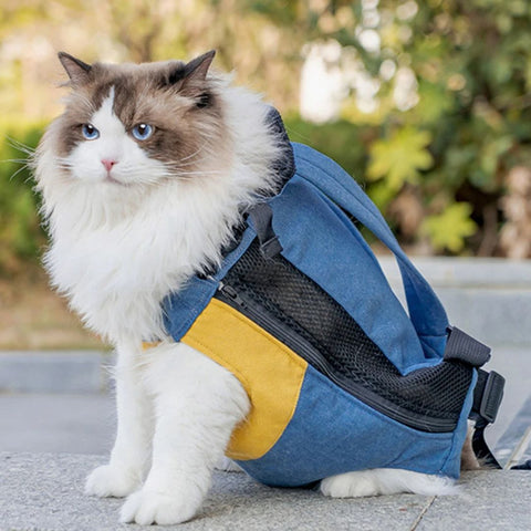 sac-transport-chat-praticité