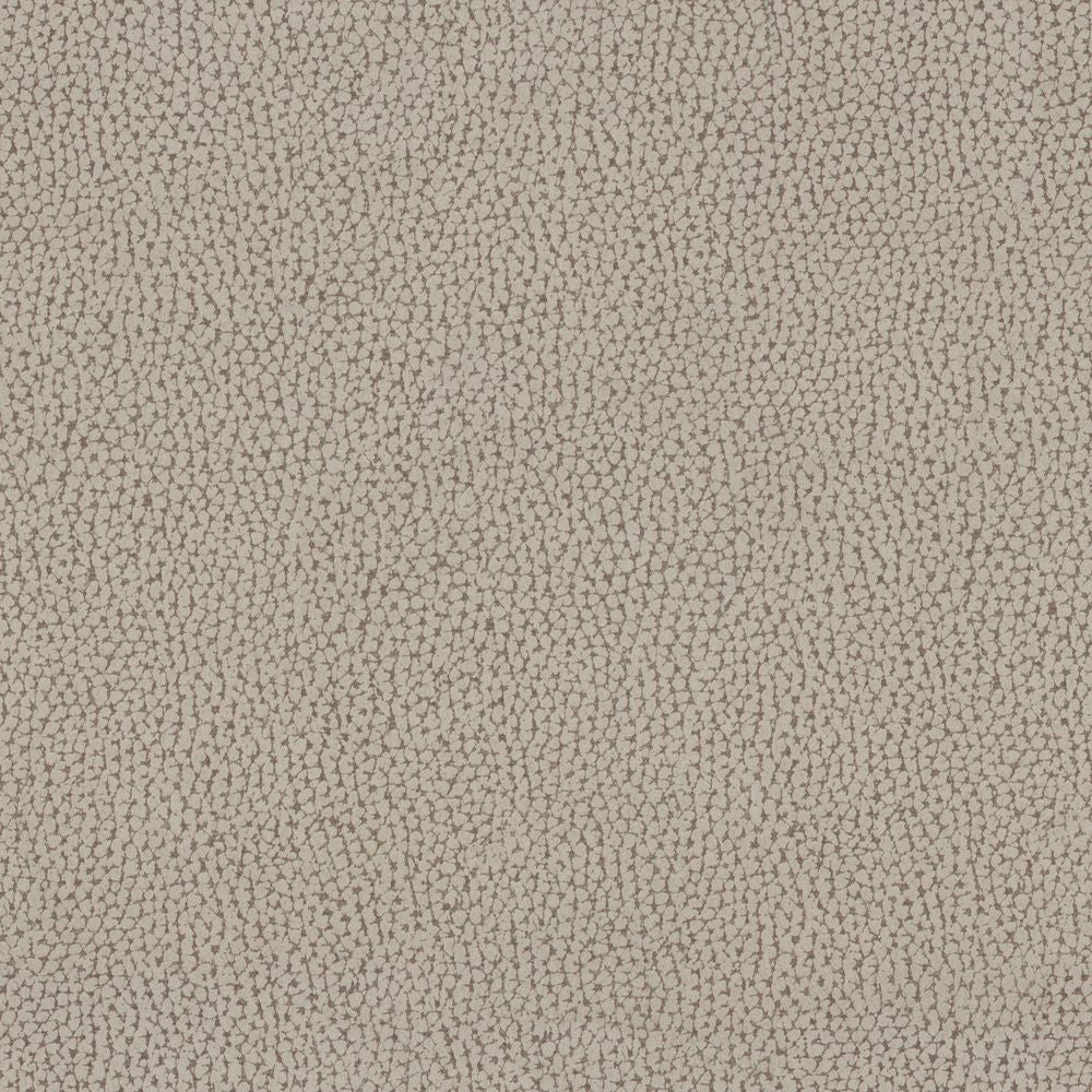 LIROE Beige huître