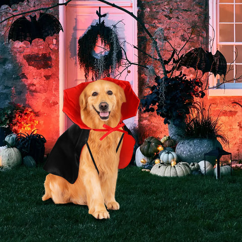 deguisement chien cape halloween elegant