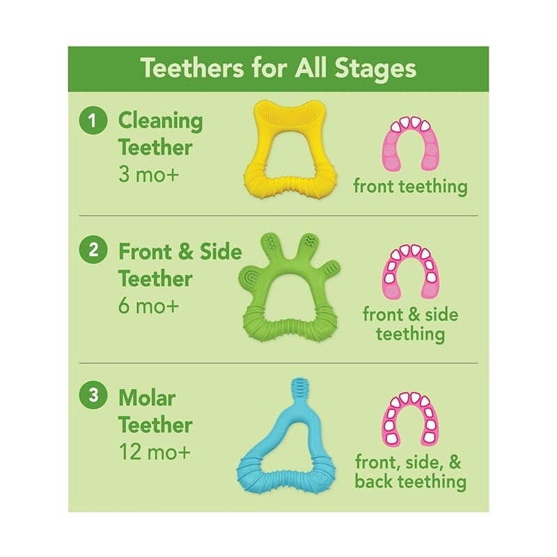 green sprouts silicone teether