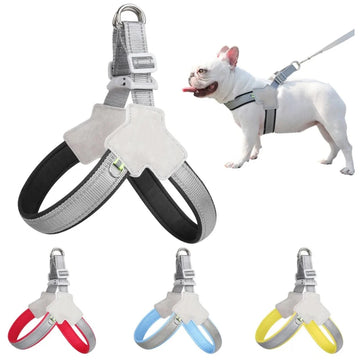 cat dropshipping Products