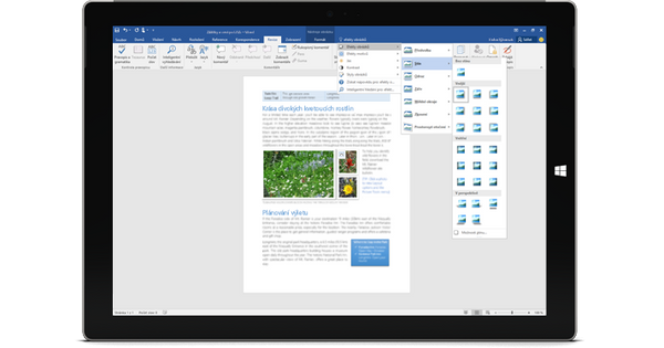 microsoft office home and business 2019 vs student