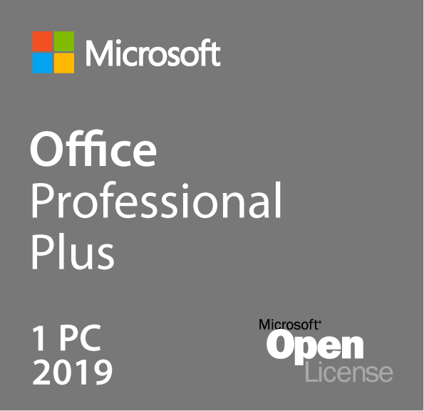 ms office professional plus 2019 vs home and business