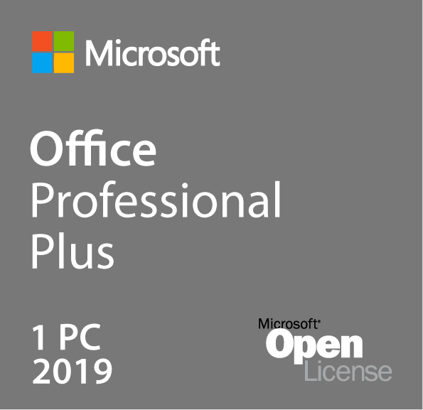 ms office professional plus 2019 vs home & business