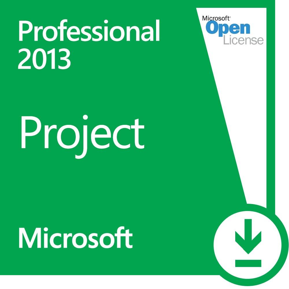 microsoft project professional 2010 buy