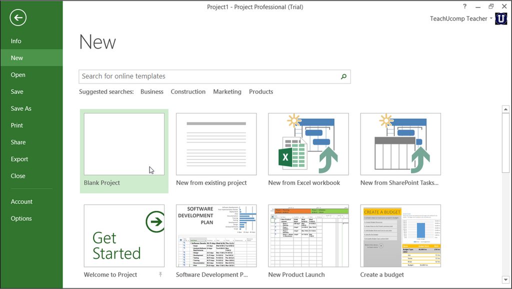 Project Standard 2013 64 bit