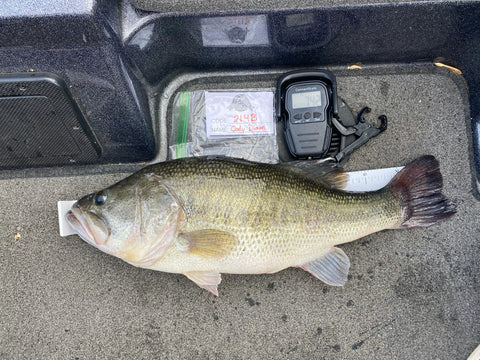 Cody Dison Big Bass Connect Fishing League April Bass Tournament