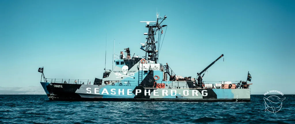 Sea Shepherd Ship