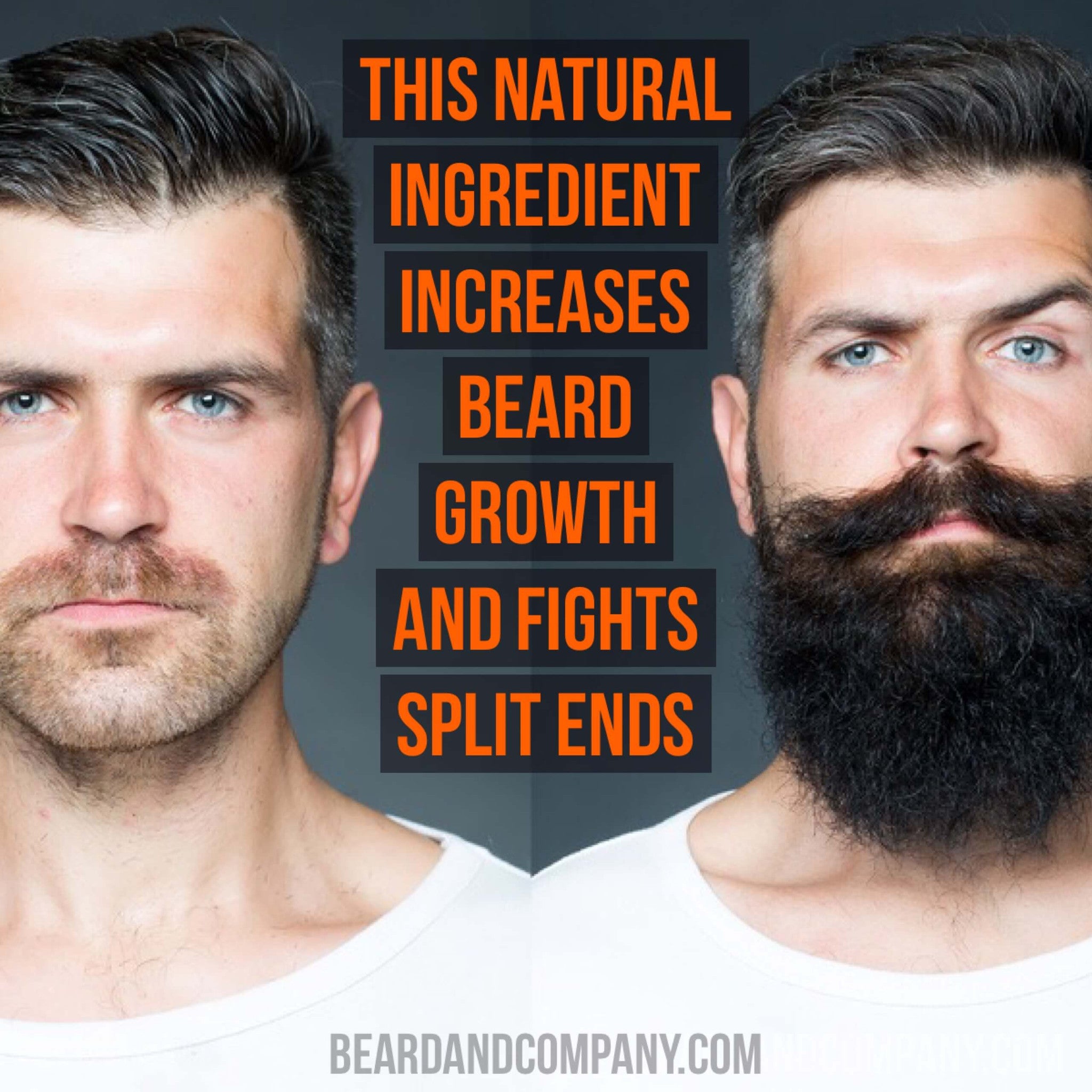 Beard And Company Beard Blog Beard Care Tips And Tricks