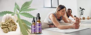 Cbd for Joint Pain