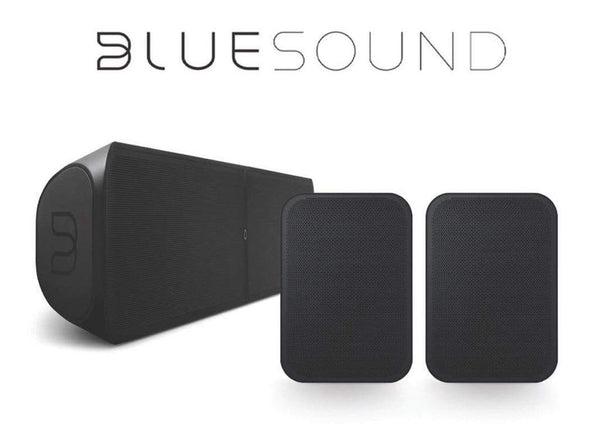 bluesound flex and soundbar