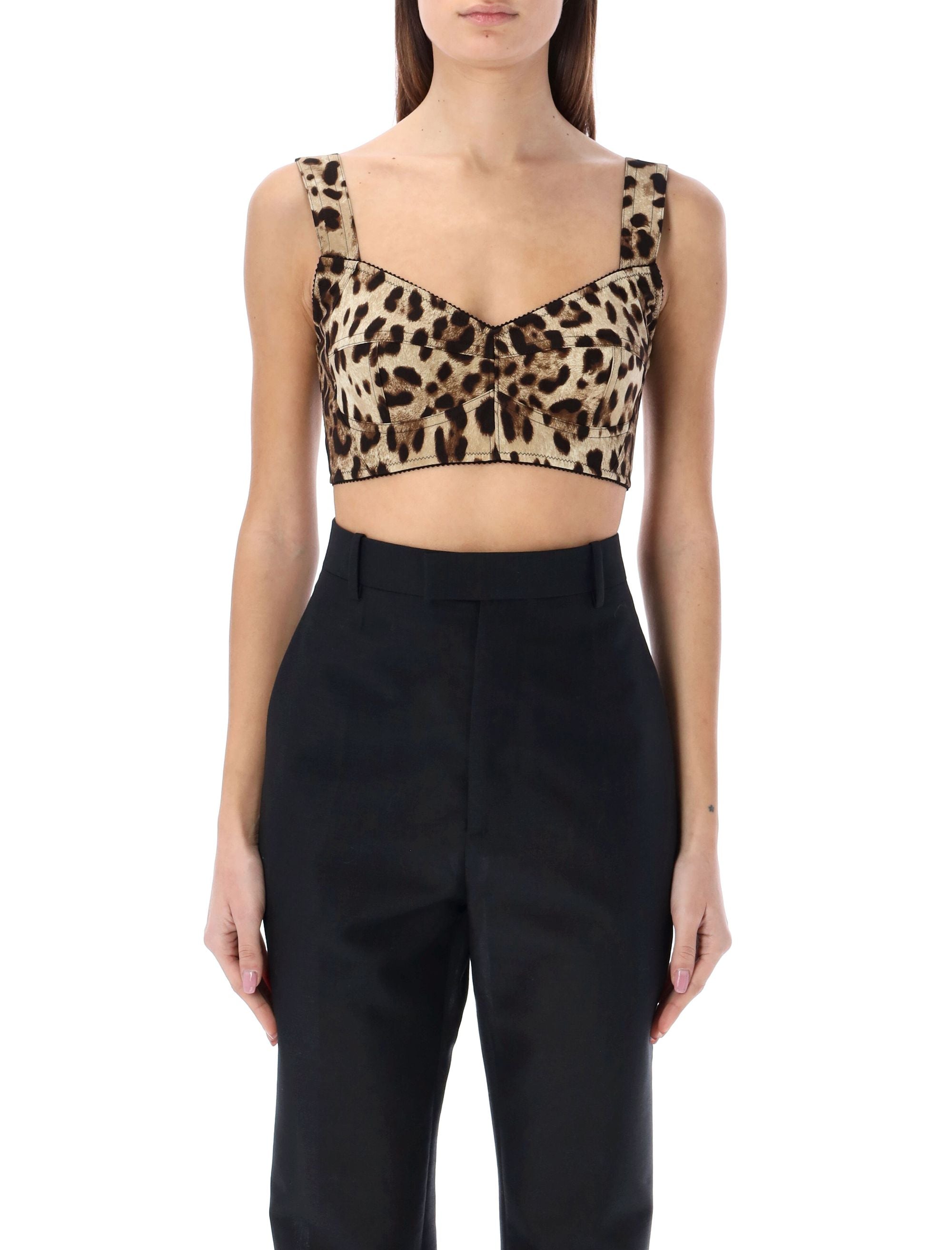 Shop Dolce & Gabbana Leopard Print Short Bustier Top In Tan