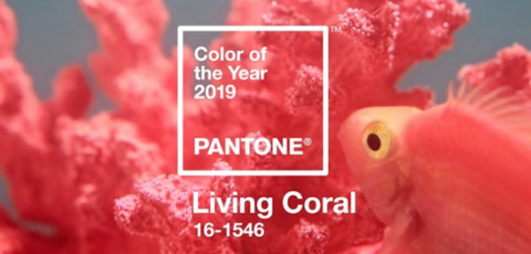 pantone coral trend color