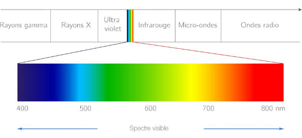 spectre de la couleur vu par l'oeil