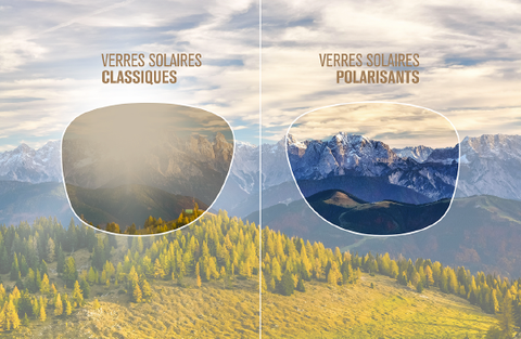 verres polarisants