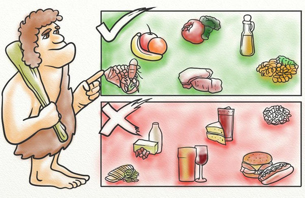 Evolution and diet