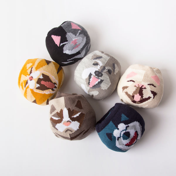 Pet Socks 寵物球襪_美國短尾貓