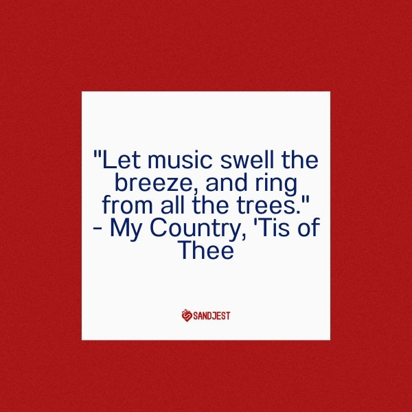 A festive social media post with a funny 4th of July quote about music and patriotism.