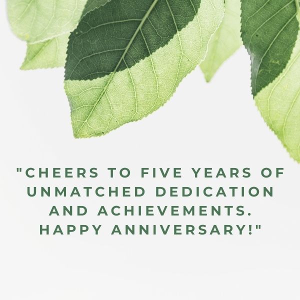 Marking half a decade of dedication with heartfelt work anniversary quotes