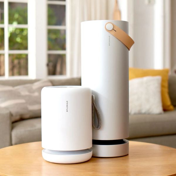 A Molekule Air Purifier is the gift of clean air for dads-to-be