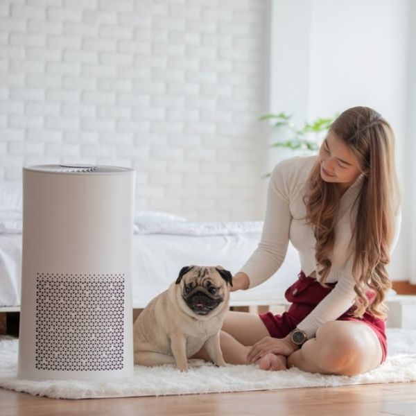 Air Purifiers For Pets christmas gift for dog mom