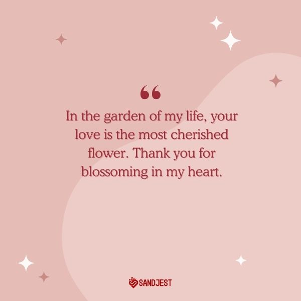 Discover the beauty of appreciation for love quotes that celebrate the essence of heartfelt gratitude.