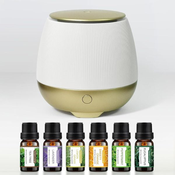 Aromatherapy Diffuser Set, perfect for creating a relaxing atmosphere, an ideal engagement gift for couples.