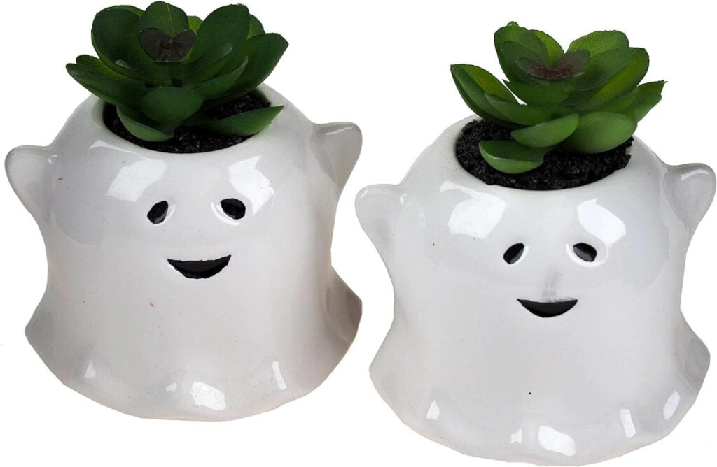 Realistic artificial ghost succulents in a decorative pot