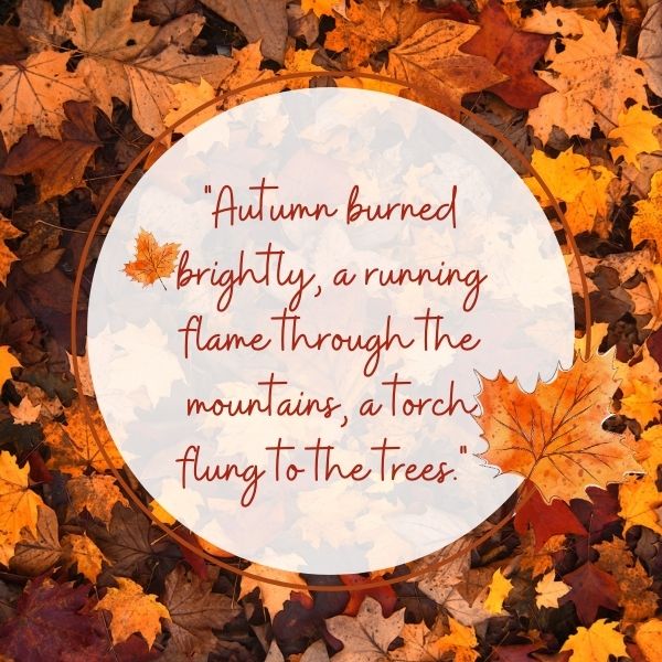 Vibrant autumn leaves framing an inspirational quote, reflecting the beauty and colors of the season in line with autumn leaves and color quotes