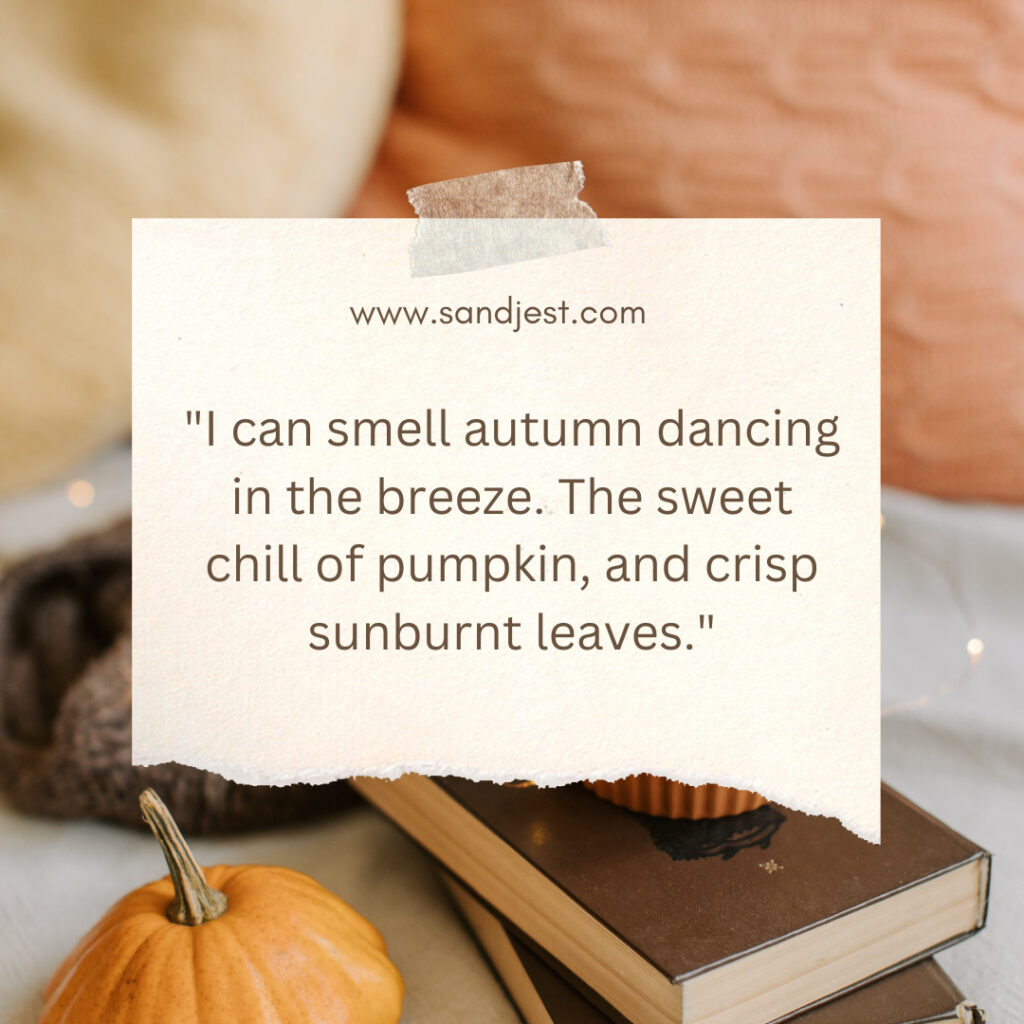 Best simple short fall quotes make you fall in love with the season.