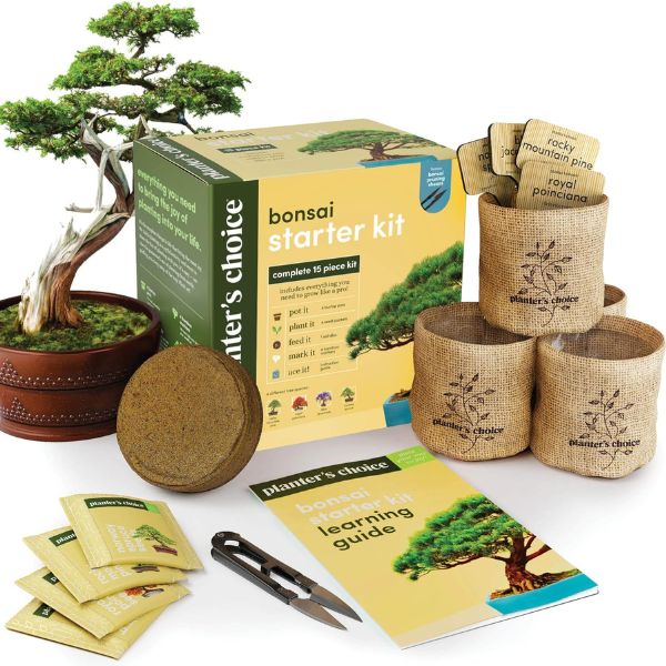 Bonsai starter kit, a peaceful and artistic gardening gift for dads.