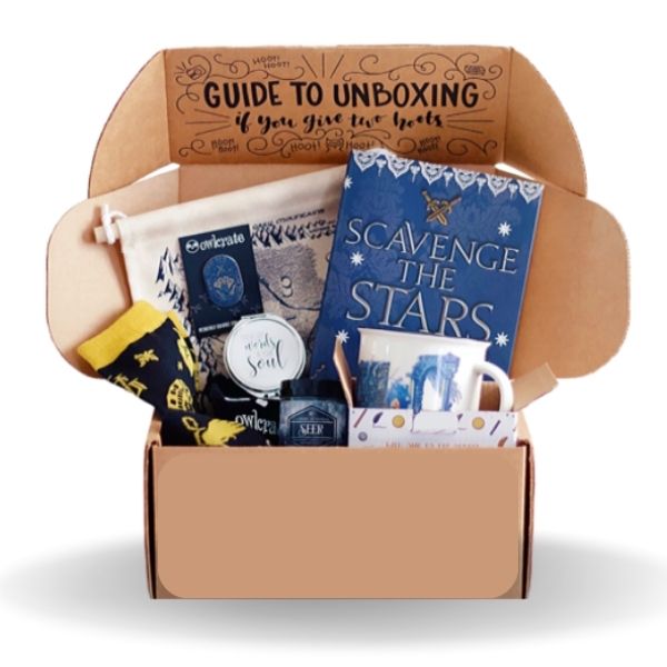 Book Subscription Box christmas gifts for wife