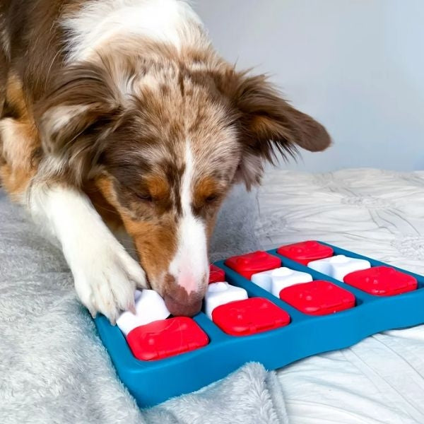 A captivating image featuring a Brick Puzzle Toy for Dog, perfect for engaging canine minds and making ideal "gifts for dog dads" who seek interactive playtime.