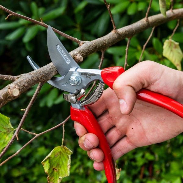 High-quality bypass secateurs, essential gardening gift for any dad.