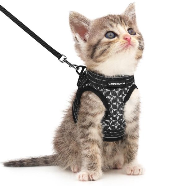 Stroll in style with your feline friend using this comfy cat harness