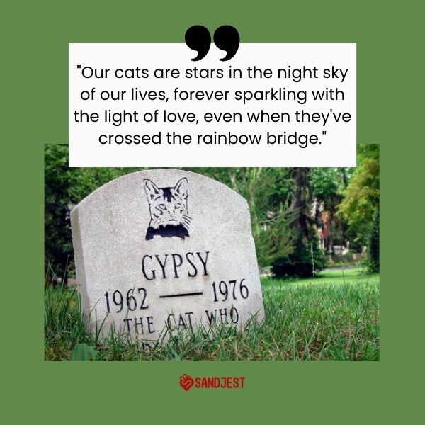 A cat memorial stone under a tree, reflecting the heartfelt emotions of cat loss quotes.