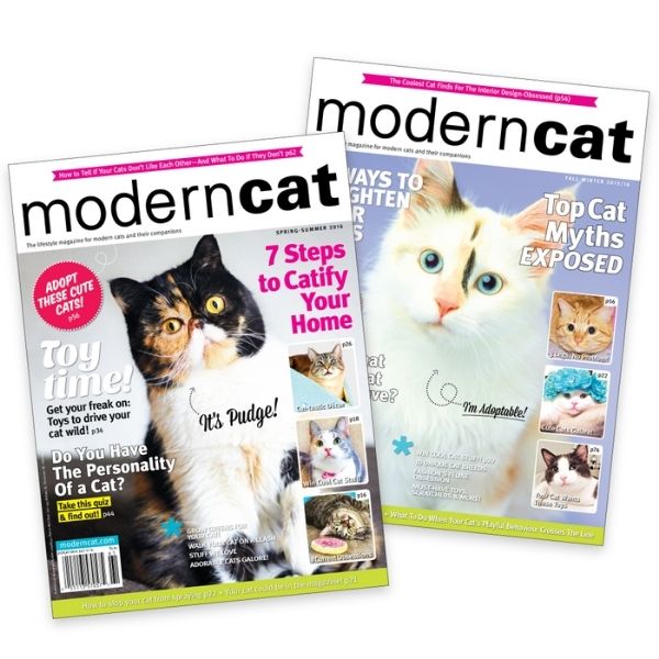 Gift the joy of discovery with a Cat Magazine Subscription.