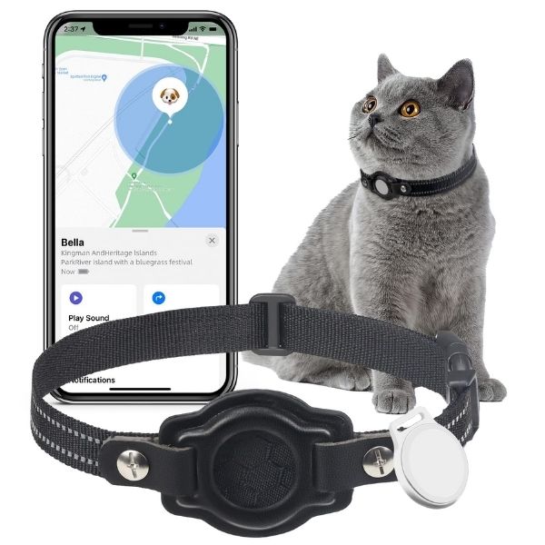 Never lose sight of your curious explorer with this clever cat tracker!