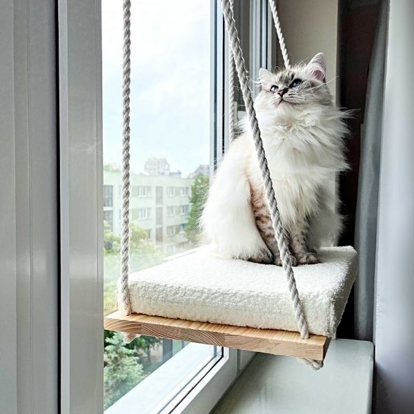 Gift a cozy perch this festive season with the Cat Window Hammock.