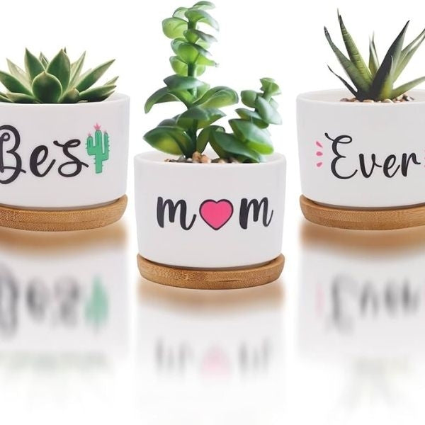 A charming Ceramic Succulent Pot for Mom, a heartfelt Mother's Day gift from a daughter, bringing the beauty of nature to her home