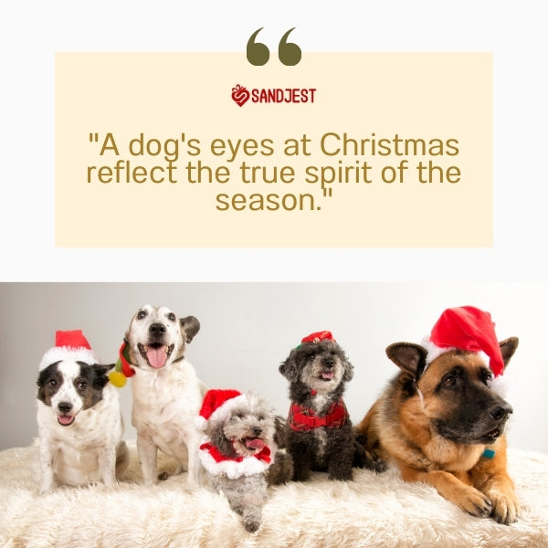 Joyful dogs in Santa hats embody Christmas spirit quotes.