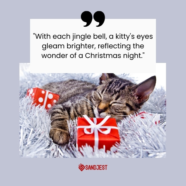 A sleeping kitten beside Christmas gifts, capturing the magic of Christmas cat quotes.
