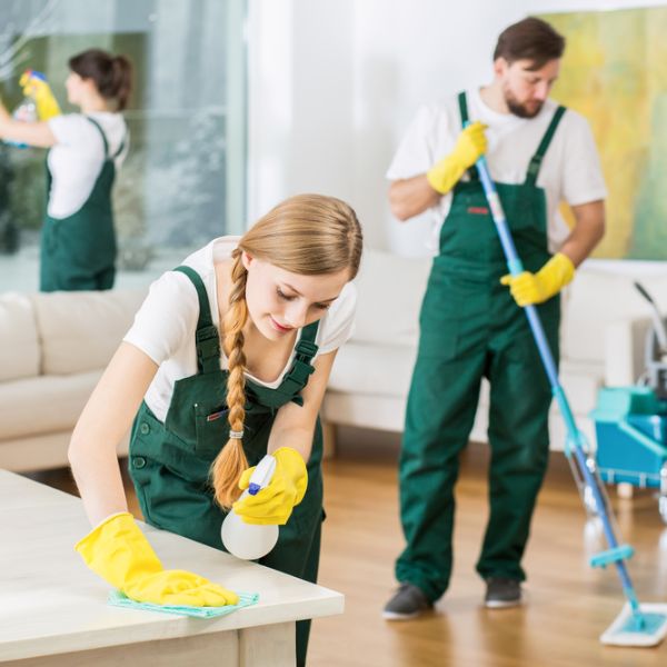 A professional cleaning team sprucing up a home, making it sparkle - a thorough cleaning service, cherished gifts for a stay at home mom.