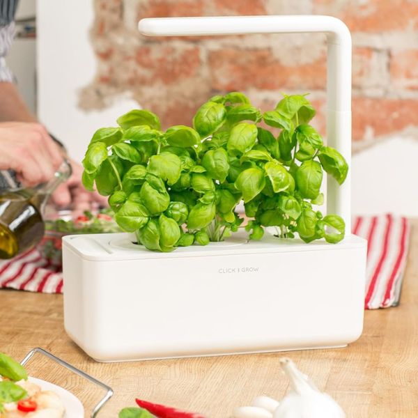 Click & Grow Indoor Herb Garden Kit, a green and lively 3 year anniversary gift for home chefs.