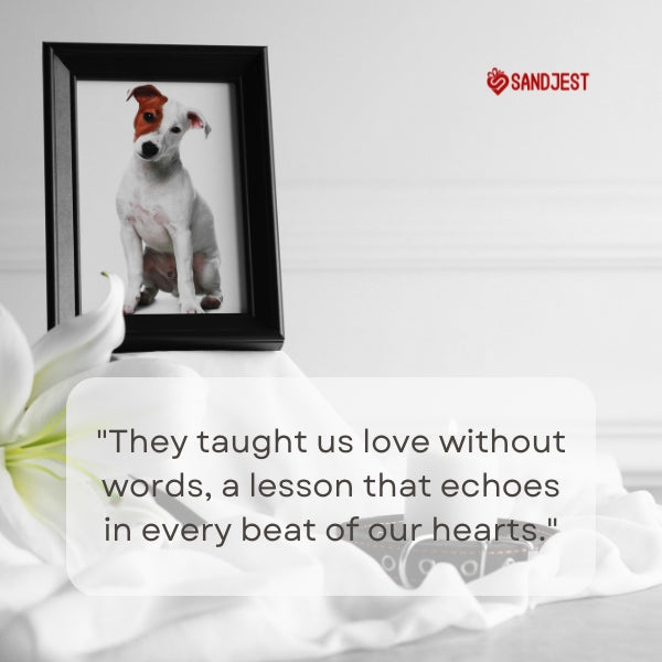 Framed photo of a dog with a Sandjest comforting pet loss quote.