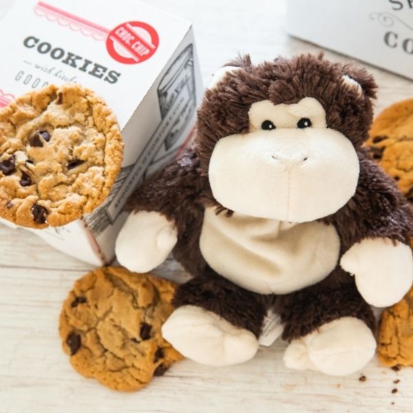 Cookies and Cuddles Care Package, a heartwarming and delicious mothers day gifts for grandma.
