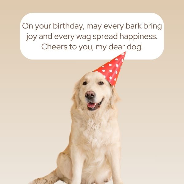 Golden retriever in a birthday hat with quotes about birthday joy and happiness.