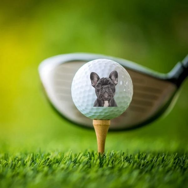 Custom Pet Golf Ball christmas gift for dog dad