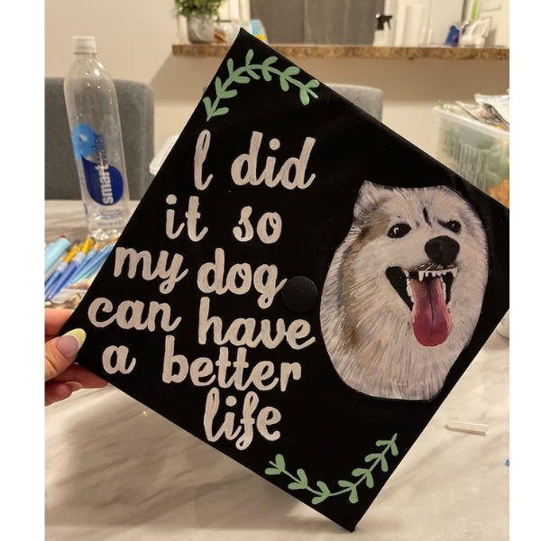 Custom Pet Graduation Cap with unique graduation cap ideas.